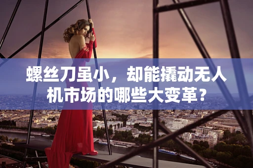 螺丝刀虽小，却能撬动无人机市场的哪些大变革？