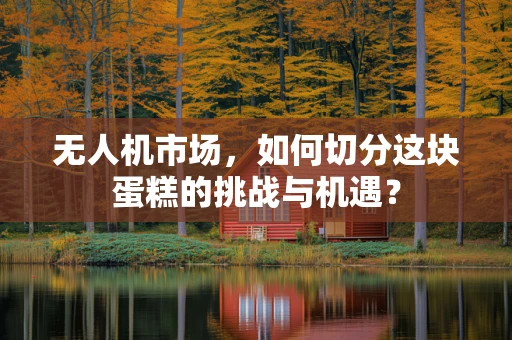 无人机市场，如何切分这块蛋糕的挑战与机遇？
