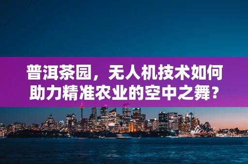 普洱茶园，无人机技术如何助力精准农业的空中之舞？