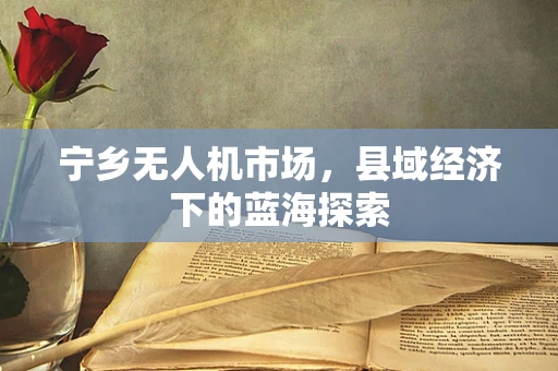 宁乡无人机市场，县域经济下的蓝海探索