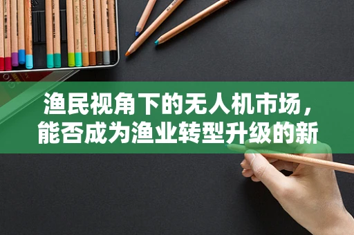 渔民视角下的无人机市场，能否成为渔业转型升级的新渔网？