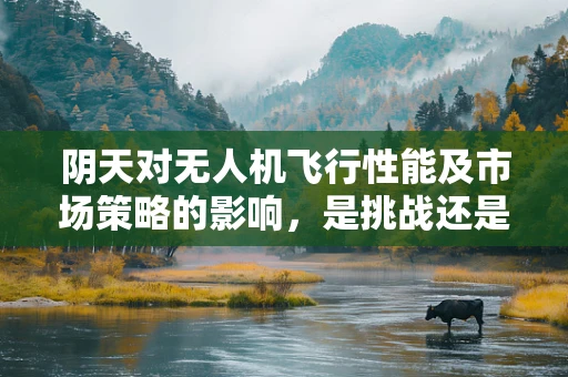 阴天对无人机飞行性能及市场策略的影响，是挑战还是机遇？