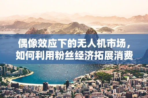 偶像效应下的无人机市场，如何利用粉丝经济拓展消费群体？