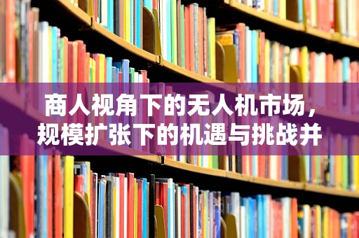 商人视角下的无人机市场，规模扩张下的机遇与挑战并存？