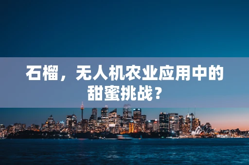 石榴，无人机农业应用中的甜蜜挑战？