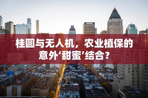 桂圆与无人机，农业植保的意外‘甜蜜’结合？