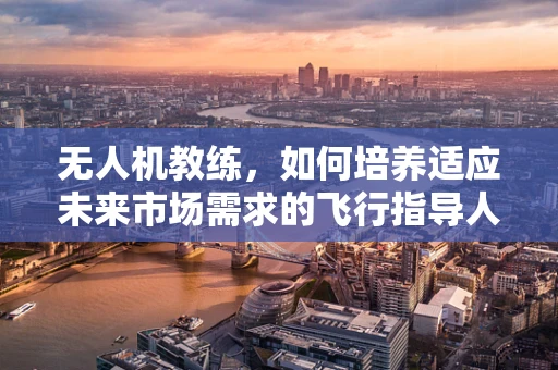无人机教练，如何培养适应未来市场需求的飞行指导人才？