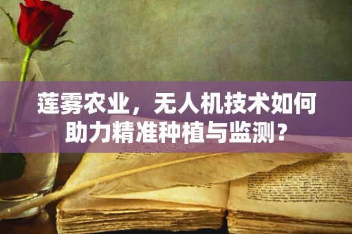 莲雾农业，无人机技术如何助力精准种植与监测？
