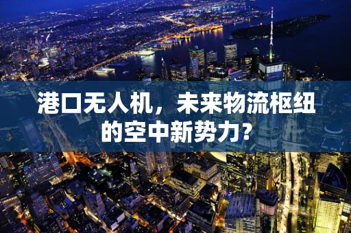 港口无人机，未来物流枢纽的空中新势力？