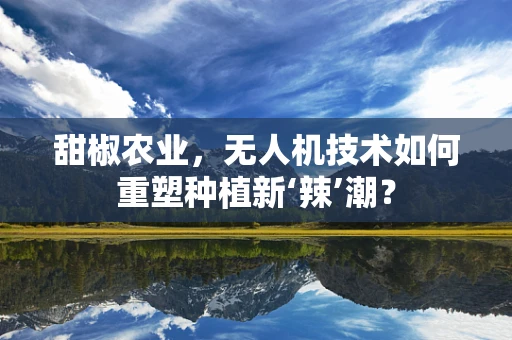 甜椒农业，无人机技术如何重塑种植新‘辣’潮？
