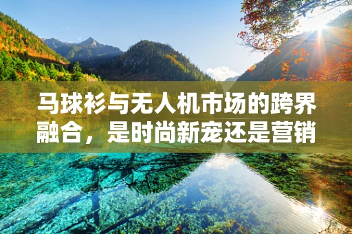 马球衫与无人机市场的跨界融合，是时尚新宠还是营销噱头？