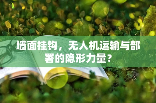 墙面挂钩，无人机运输与部署的隐形力量？