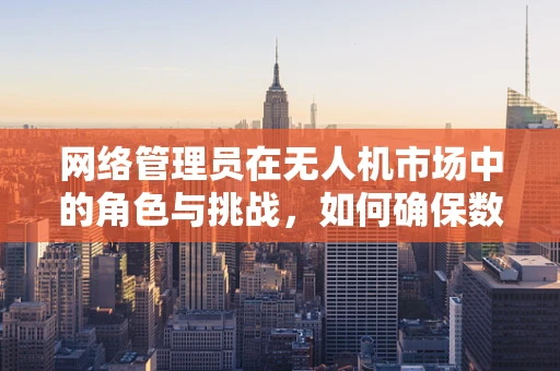 网络管理员在无人机市场中的角色与挑战，如何确保数据传输的安全与高效？