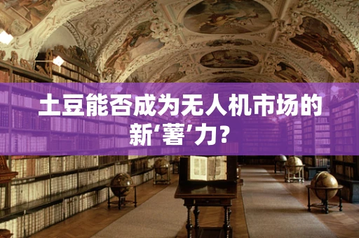 土豆能否成为无人机市场的新‘薯’力？