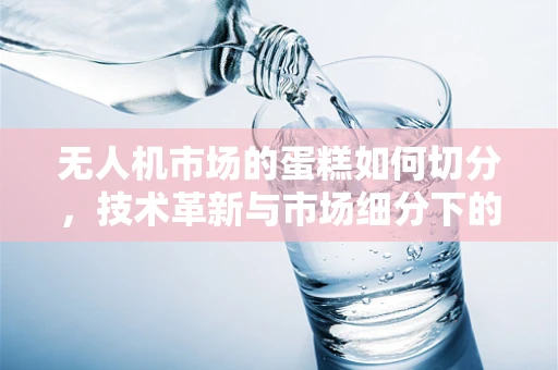 无人机市场的蛋糕如何切分，技术革新与市场细分下的新机遇？