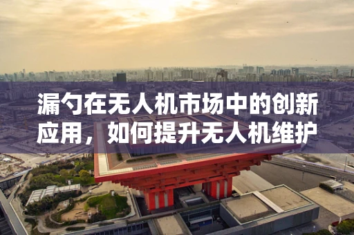 漏勺在无人机市场中的创新应用，如何提升无人机维护效率？