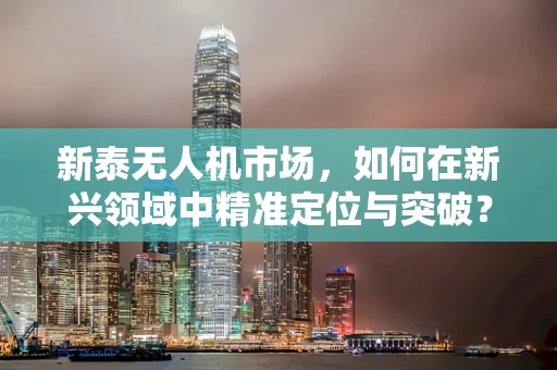 新泰无人机市场，如何在新兴领域中精准定位与突破？
