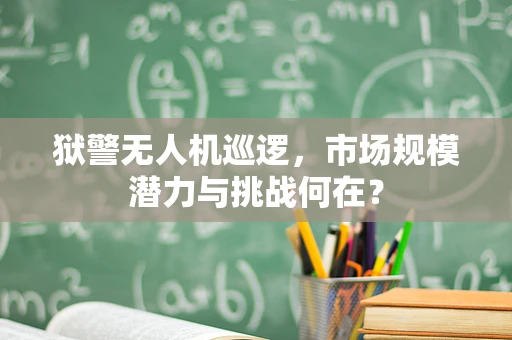 狱警无人机巡逻，市场规模潜力与挑战何在？