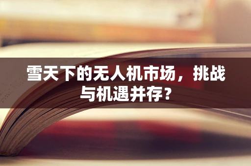 雪天下的无人机市场，挑战与机遇并存？