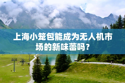 上海小笼包能成为无人机市场的新味蕾吗？