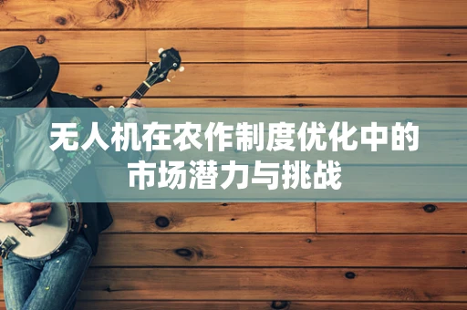 无人机在农作制度优化中的市场潜力与挑战