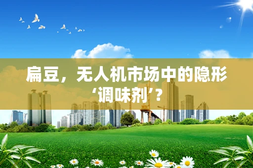 扁豆，无人机市场中的隐形‘调味剂’？