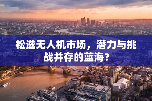 松滋无人机市场，潜力与挑战并存的蓝海？
