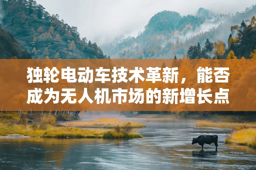 独轮电动车技术革新，能否成为无人机市场的新增长点？