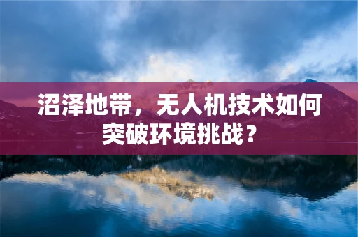 沼泽地带，无人机技术如何突破环境挑战？