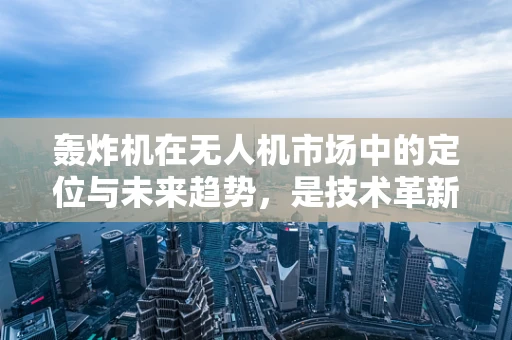 轰炸机在无人机市场中的定位与未来趋势，是技术革新还是市场误导？