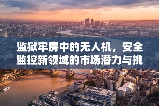 监狱牢房中的无人机，安全监控新领域的市场潜力与挑战？