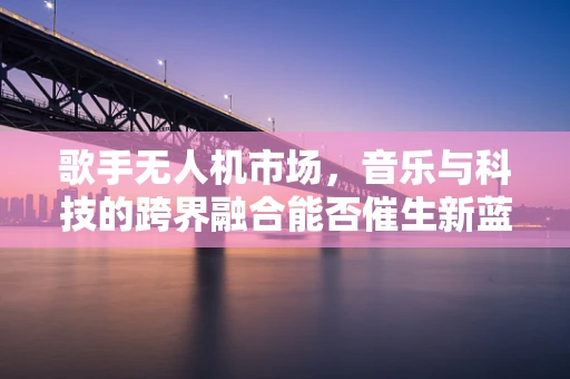歌手无人机市场，音乐与科技的跨界融合能否催生新蓝海？