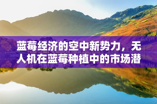 蓝莓经济的空中新势力，无人机在蓝莓种植中的市场潜力与挑战