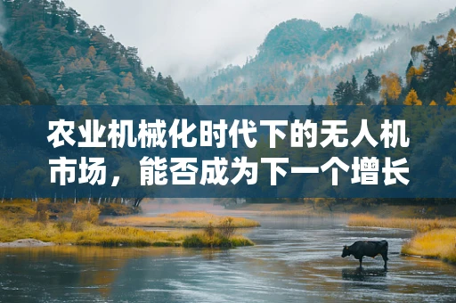 农业机械化时代下的无人机市场，能否成为下一个增长极？