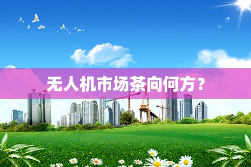 无人机市场茶向何方？
