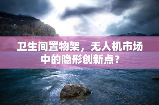 卫生间置物架，无人机市场中的隐形创新点？