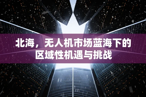 北海，无人机市场蓝海下的区域性机遇与挑战