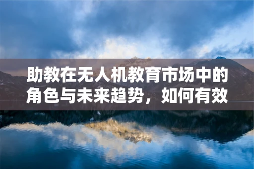 助教在无人机教育市场中的角色与未来趋势，如何有效提升学习体验？
