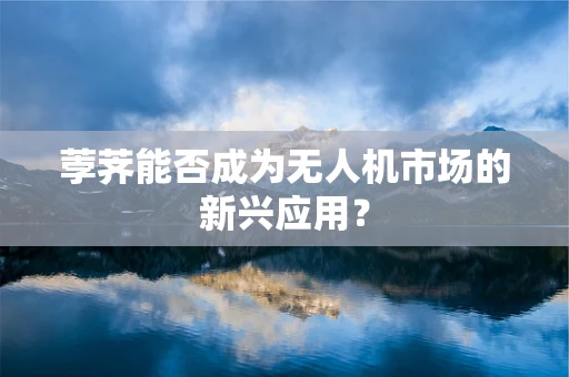 荸荠能否成为无人机市场的新兴应用？