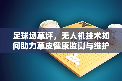 足球场草坪，无人机技术如何助力草皮健康监测与维护？