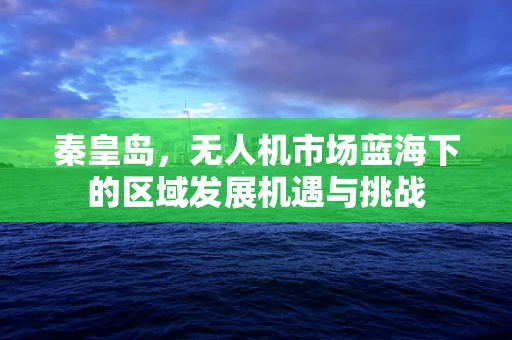 秦皇岛，无人机市场蓝海下的区域发展机遇与挑战