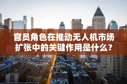 官员角色在推动无人机市场扩张中的关键作用是什么？