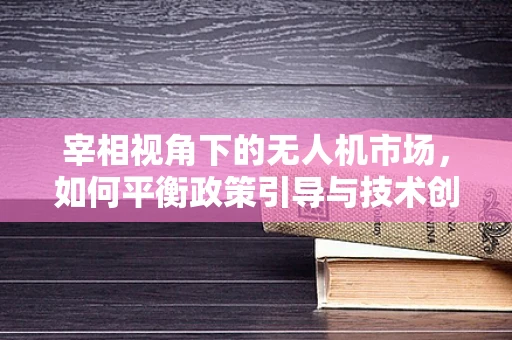 宰相视角下的无人机市场，如何平衡政策引导与技术创新以促进规模增长？