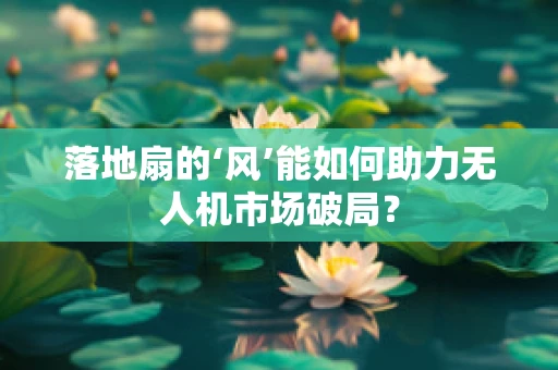 落地扇的‘风’能如何助力无人机市场破局？