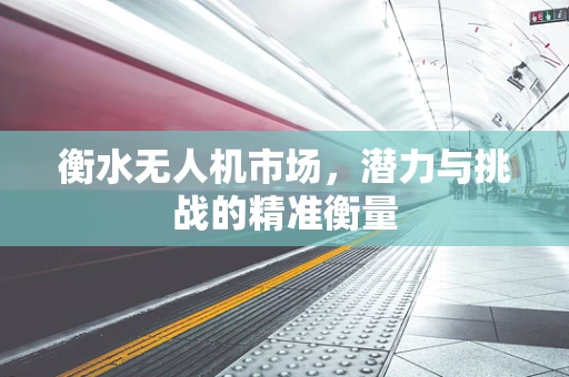 衡水无人机市场，潜力与挑战的精准衡量