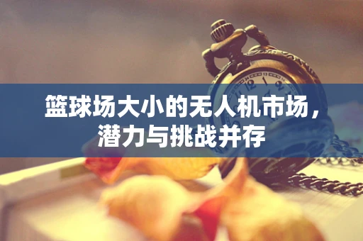 篮球场大小的无人机市场，潜力与挑战并存