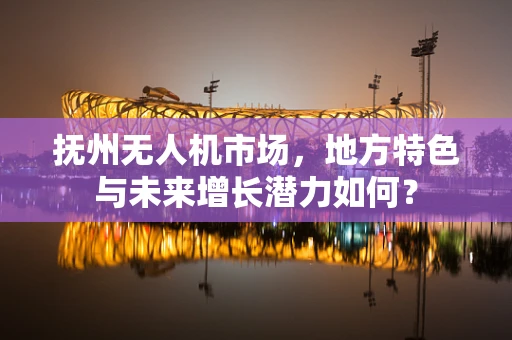 抚州无人机市场，地方特色与未来增长潜力如何？