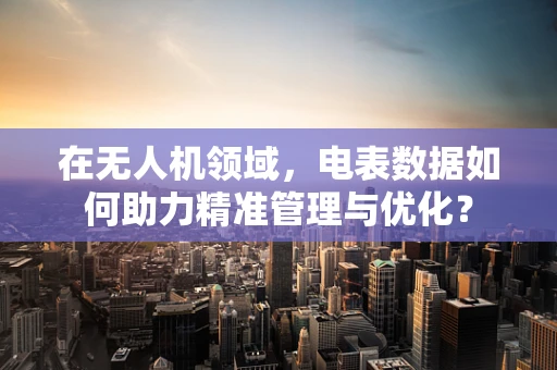 在无人机领域，电表数据如何助力精准管理与优化？