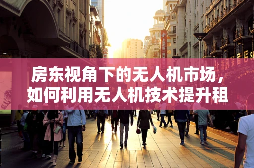 房东视角下的无人机市场，如何利用无人机技术提升租赁管理效率？