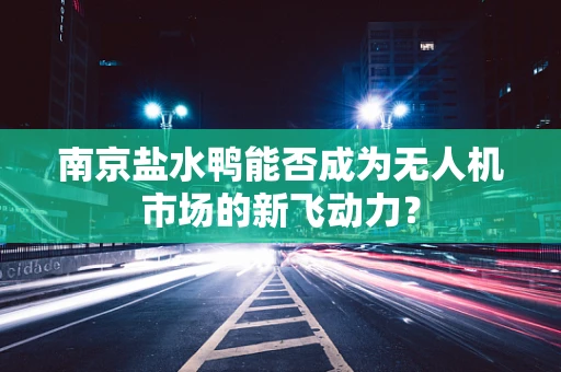南京盐水鸭能否成为无人机市场的新飞动力？